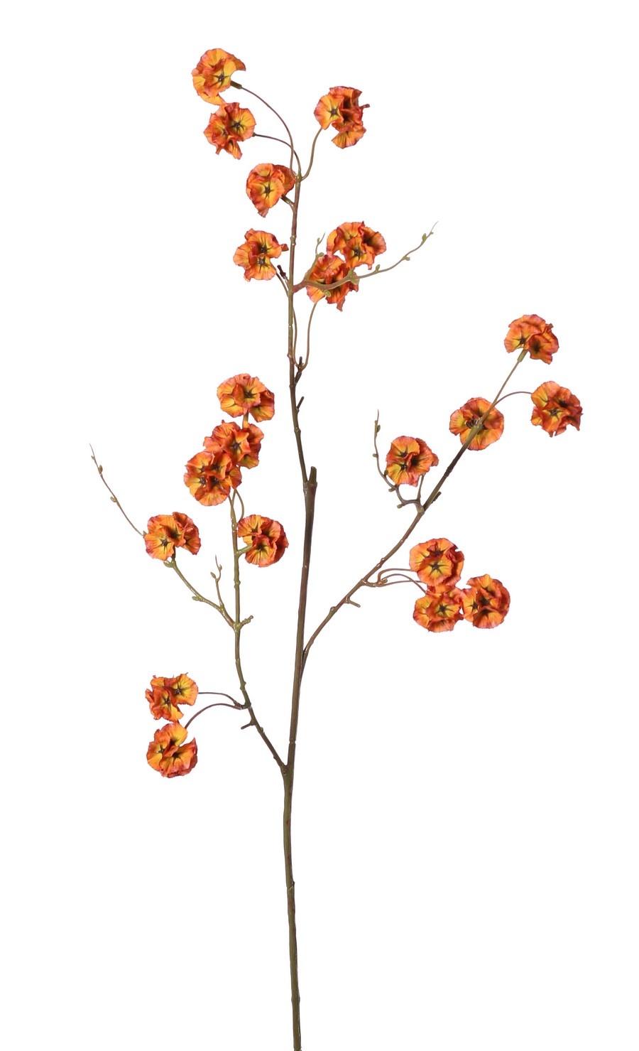 Escabiosa con 21 cápsulas de semillas de poliéster, Ø 3 cm, sin hojas, 90 cm