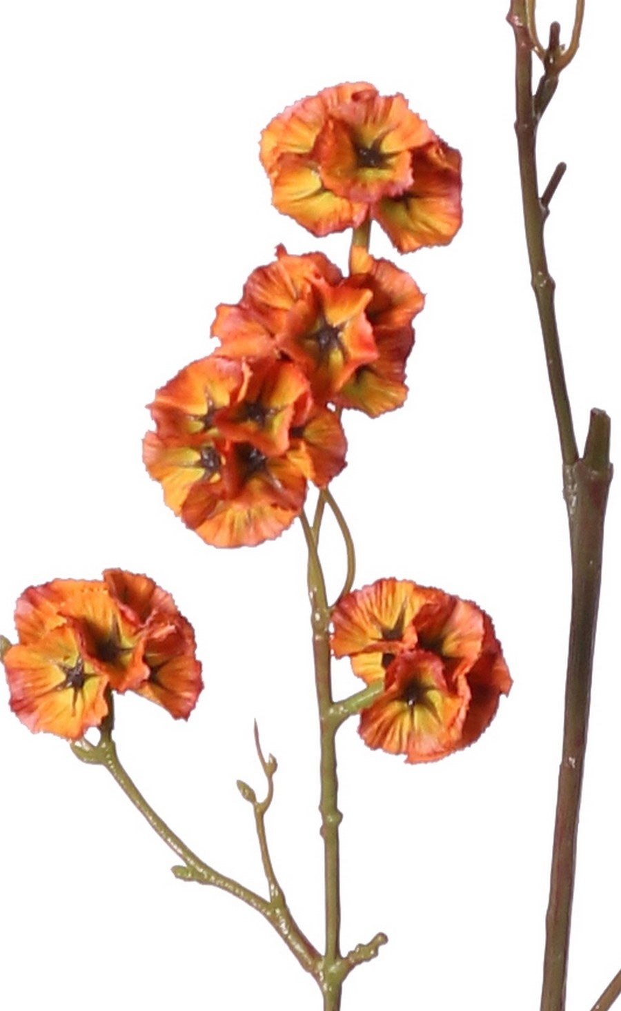 Scabiosa with 21 polyester seed capsules, Ø 3 cm, without leaves, 90 cm