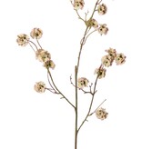 Scabiosa (Duifkruid) drumsticks met 21 polyester zaaddozen, Ø 3 cm, geen blad , 90 cm