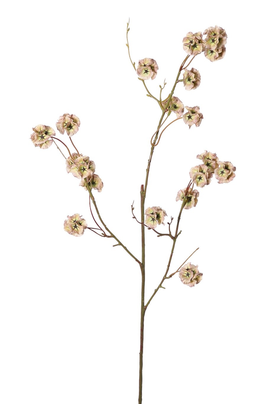 Scabiosa with 21 polyester seed capsules, Ø 3 cm, without leaves , 90 cm