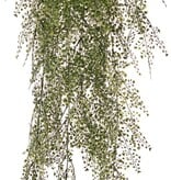 Helecho culantrillo (Adianthum) maxi plástico x15 con 195 pares de hojas (0,5-1,5 cm) 85 cm