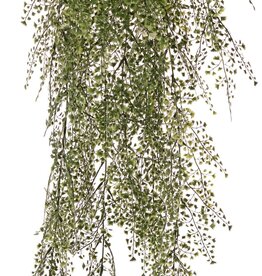 Venushaarfarn (adianthum) Maxi-Kunststoff x15 mit 195 Blattpaaren (0,5 - 1,5 cm), 85 cm