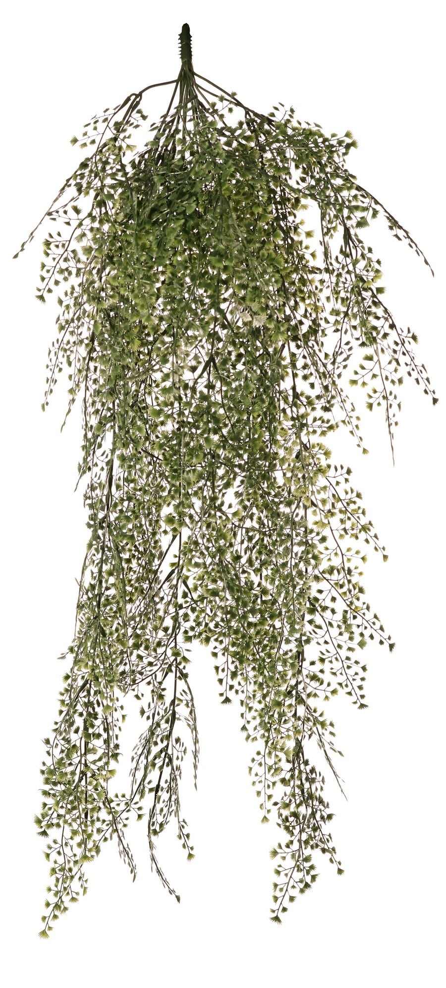 Helecho culantrillo (Adianthum) maxi plástico x15 con 195 pares de hojas (0,5-1,5 cm) 85 cm