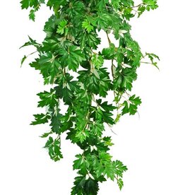 Cissus rhombifolia plant, 387 leaves, fire retardant and UV safe, 110 cm