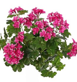 Pelargonium 40cm, with 92  lvs., 108 flowers and buds, by MK!, UVsafe