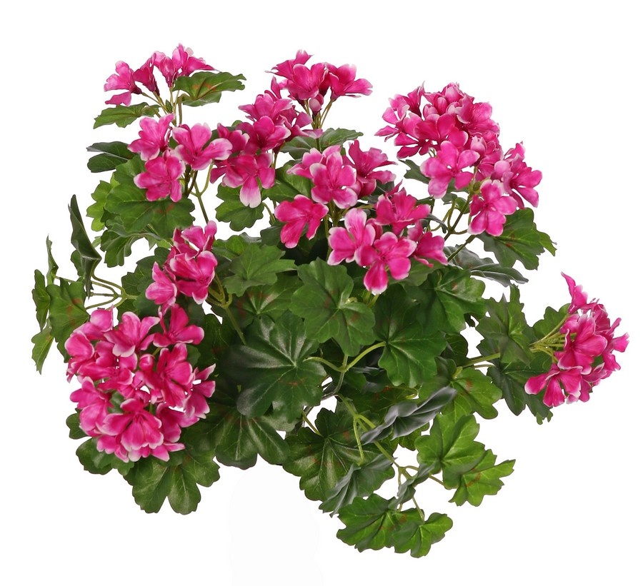 Geranio Austriaca (Pelargonium), 108 flores, 92 hojas, 40cm, UV resistente