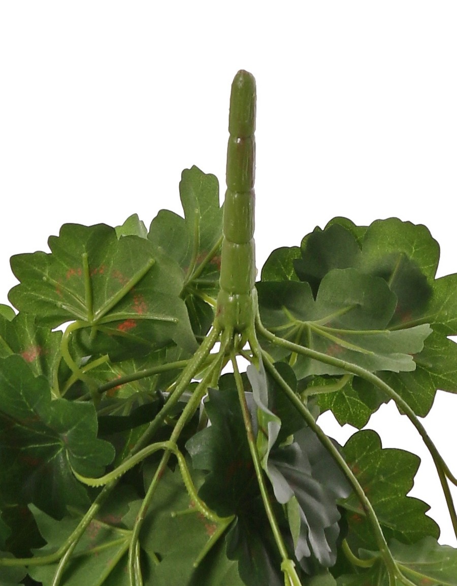Pelargonium 40cm, with 92  lvs., 108 flowers and buds, by MK!, UVsafe