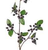 Rama de arándano (Vaccinium) 'Naturals', ramificada en 3 direcciones, 67 bayas y 14 hojas, 78 cm