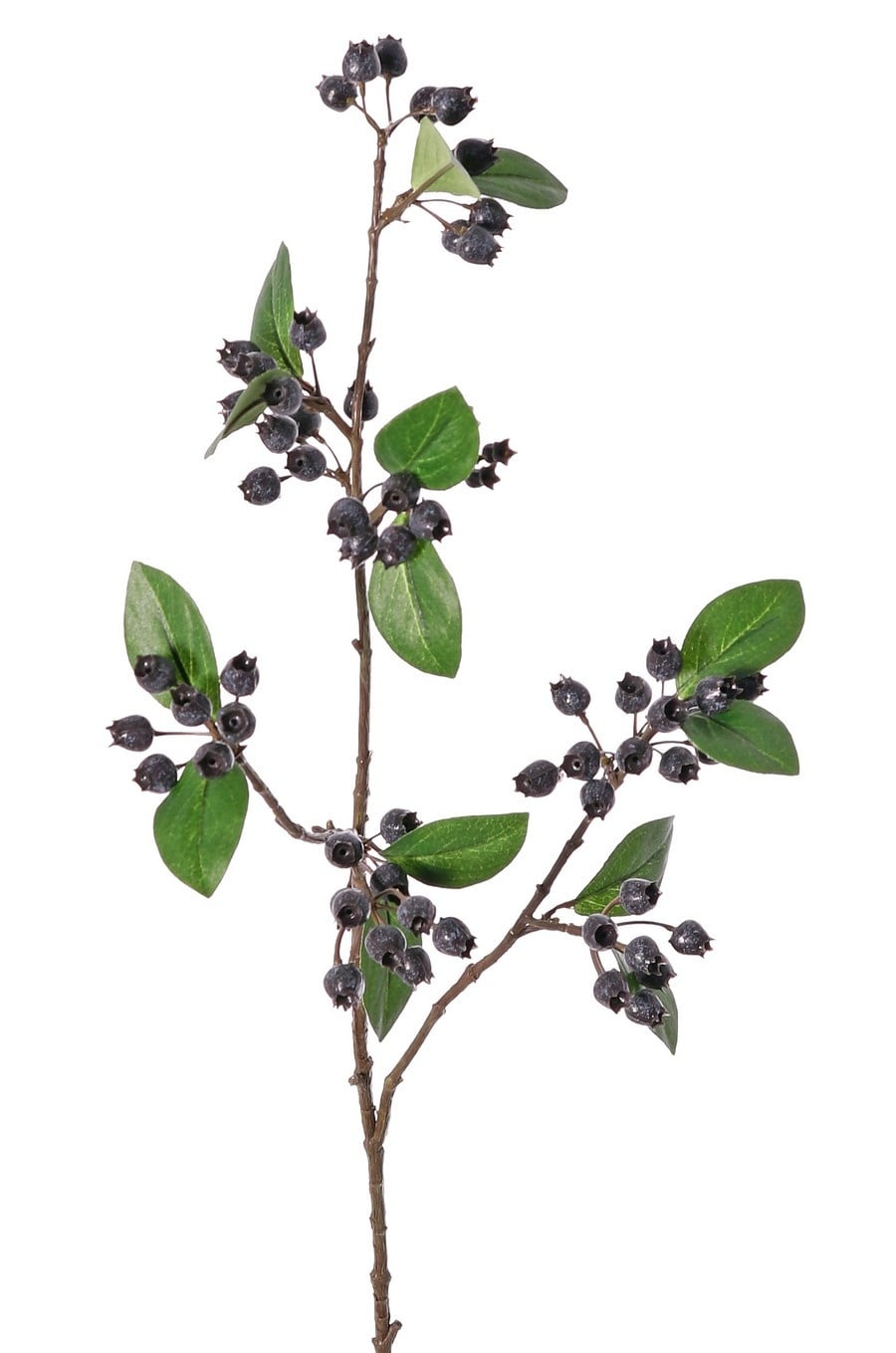 Rama de arándano (Vaccinium) 'Naturals', ramificada en 3 direcciones, 67 bayas y 14 hojas, 78 cm