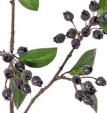 Blueberry branch (Vaccinium) 'Naturals', 3-way branched, 67 berries and 14 leaves, 78 cm