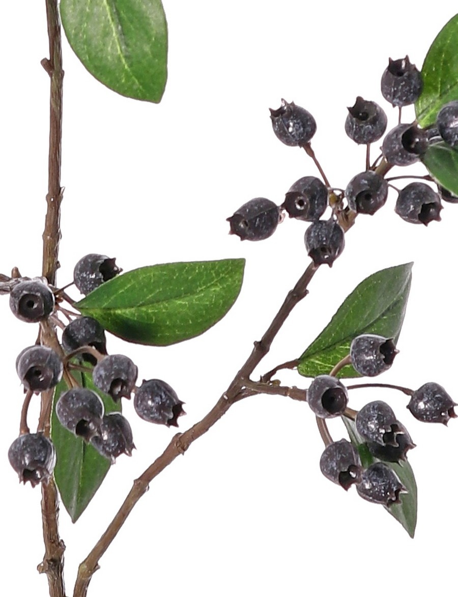 Blaubeerenzweig (Vaccinium) 'Naturals', 3-fach verzweigt, 67 Beeren und 14 Blätter, 78 cm