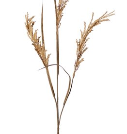 Rama de arroz (Oryza) en flor, con 3 flores (25 cm) y 3 hojas, 100 cm