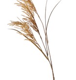 Rama de arroz (Oryza) en flor, con 3 flores (25 cm) y 3 hojas, 100 cm