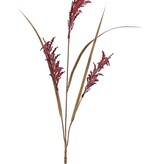 Rijsttak (Oryza) bloeiend, met 3 bloeiaren (25 cm) & 3 bladeren, 100 cm
