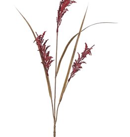Rama de arroz (Oryza) en flor, con 3 flores (25 cm) y 3 hojas, 100 cm