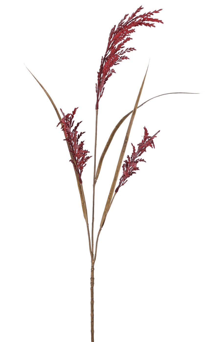 Rama de arroz (Oryza) en flor, con 3 flores (25 cm) y 3 hojas, 100 cm