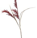 Rama de arroz (Oryza) en flor, con 3 flores (25 cm) y 3 hojas, 100 cm