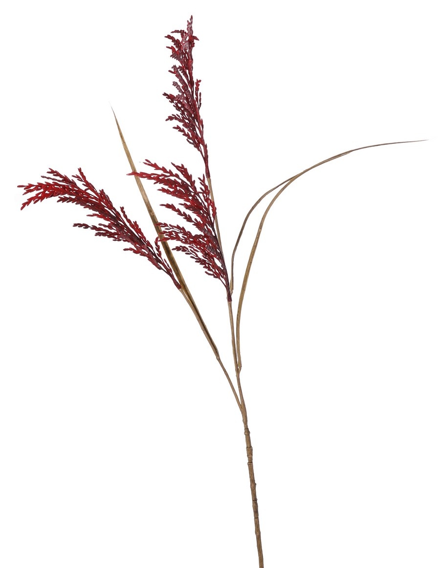 Rama de arroz (Oryza) en flor, con 3 flores (25 cm) y 3 hojas, 100 cm
