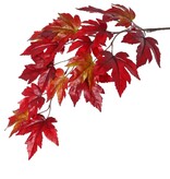Rama de arce (Acer Branch) 2x ramificada con 17 hojas de poliéster, 90 cm
