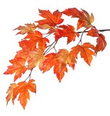 Rama de arce (Acer Branch) 2x ramificada con 17 hojas de poliéster, 90 cm