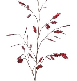 Plataargras (Chasmanthium) 'Maxi' 7x vertakt met 37 aren, 18 L/ 15 M, 105 cm