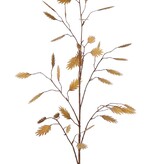 Hierba de hoja plana (Chasmanthium) 'Maxi', 7 ramas con 37 espigas, 18 L/ 15 M, 105 cm