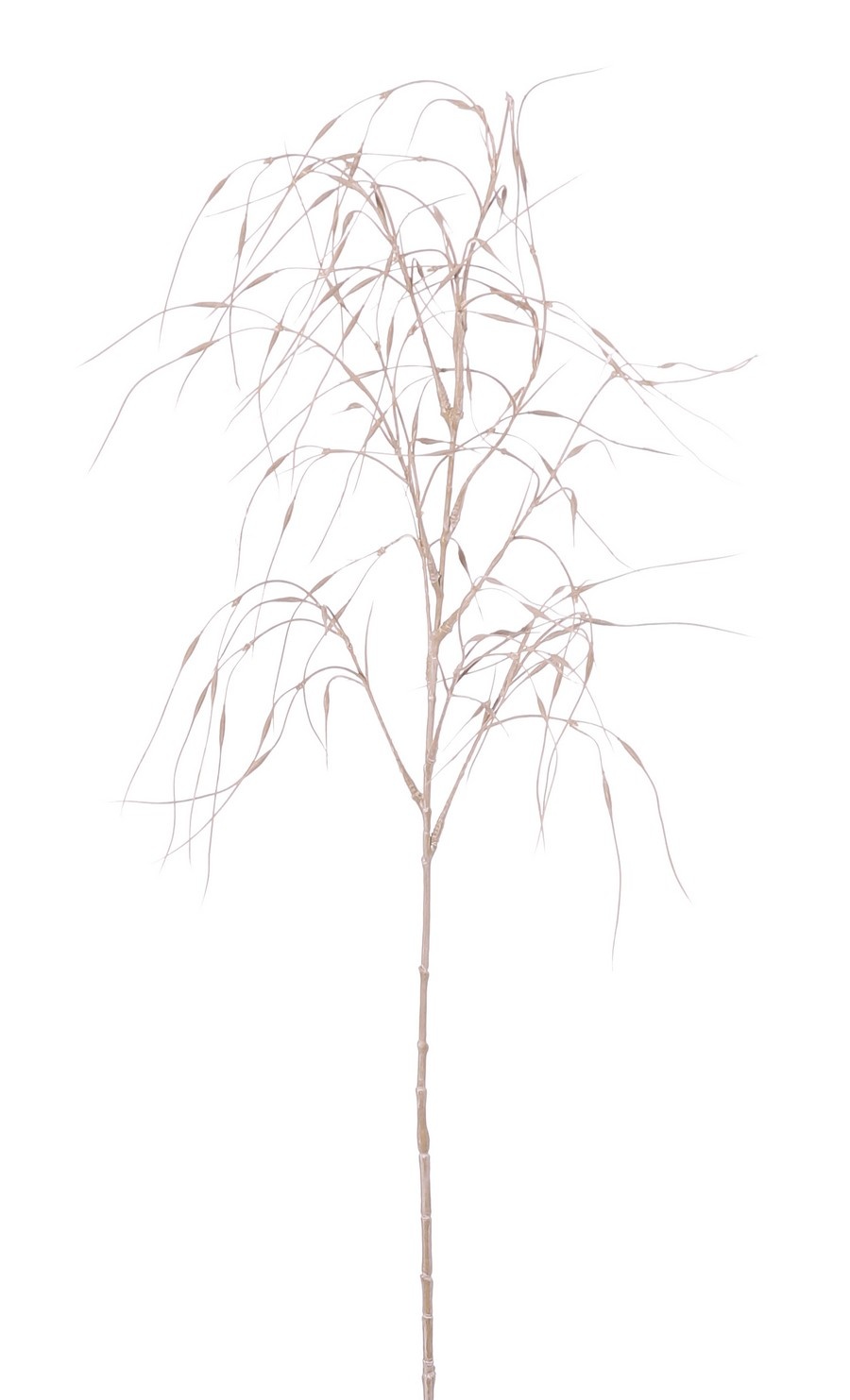 Siergras 'Stipa', 7 clusters met blad, 78 cm, plastic item