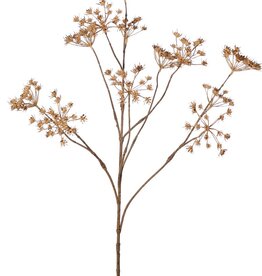 Fluitenkruid (Anthriscus) 10x vertakt met 13 schermbloemen, L 90 cm, Ø 30 cm