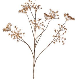 Perejil silvestre (Anthriscus) 10x ramificado con 13 umbelas, L 90 cm, Ø 30 cm