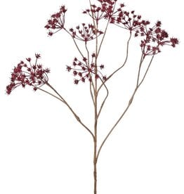 Cow Parsley (Anthriscus) 10x branched with 13 umbels, L 90 cm, Ø 30 cm