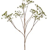 Cow Parsley (Anthriscus) 10x branched with 13 umbels, L 90 cm, Ø 30 cm
