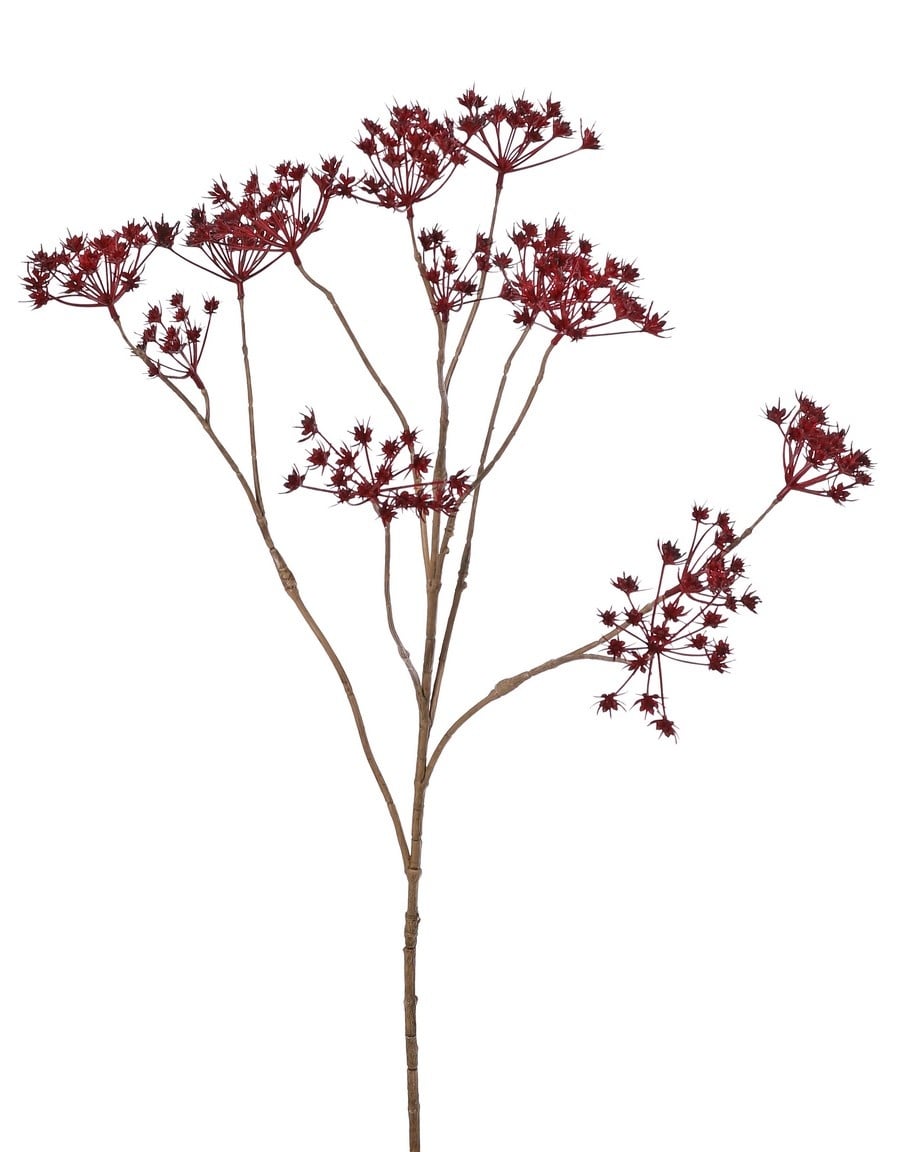 Cow Parsley (Anthriscus) 10x branched with 13 umbels, L 90 cm, Ø 30 cm
