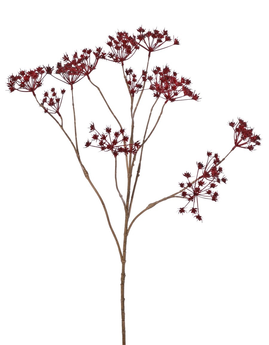 Perejil silvestre (Anthriscus) 10x ramificado con 13 umbelas, L 90 cm, Ø 30 cm