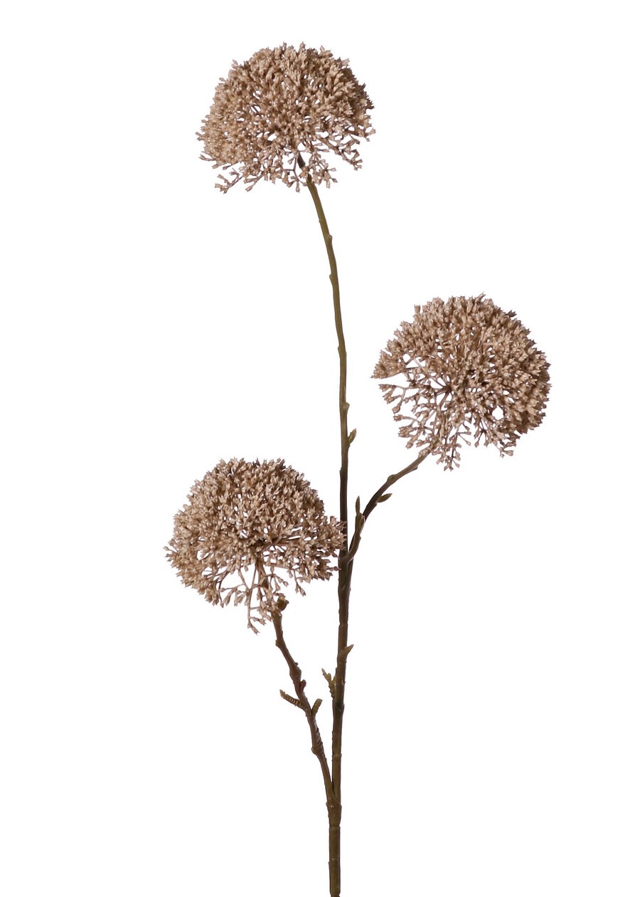 Zierlauch 'Warm Fall', 3-fach verzweigt mit 3 Blüten (9 x 6 cm), 80 cm