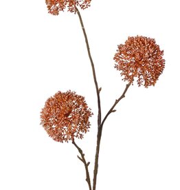 Zierlauch 'Warm Fall', 3-fach verzweigt mit 3 Blüten (9 x 6 cm), 80 cm