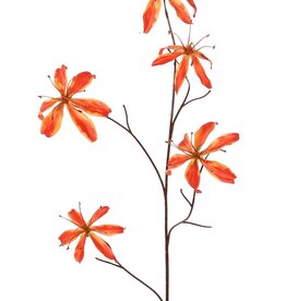 Lelie gloriosa 'Warm Fall' 5x vertakt met 5 bloemen (2 M/ 3 L) & 10 bladeren, 110 cm