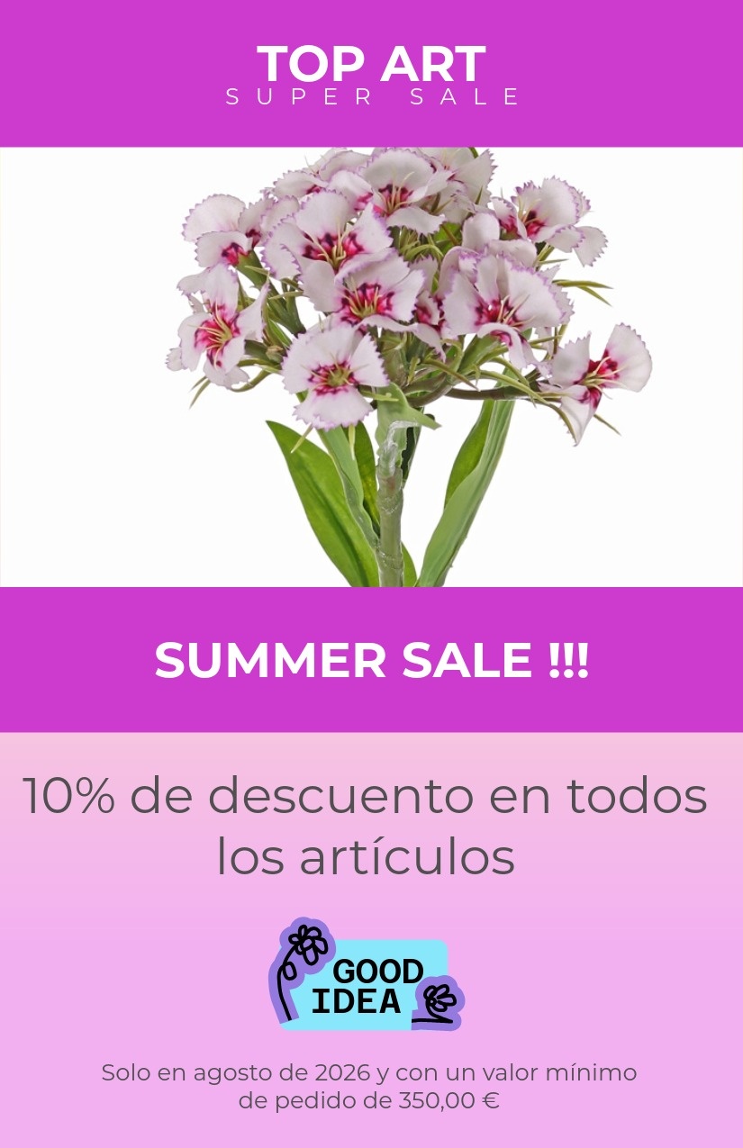 Verano Oferta Especial 08/2026