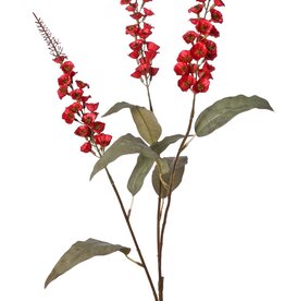 Verbascum 'Fantasy' 3x vertakt met 3 bloementoortsen (22 cm) & 6 bladeren, 100 cm