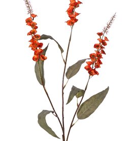 Verbascum 'Fantasy' 3x vertakt met 3 bloementoortsen (22 cm) & 6 bladeren, 100 cm