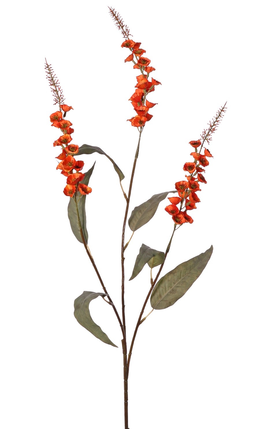 Verbascum 'Fantasy' 3x vertakt met 3 bloementoortsen (22 cm) & 6 bladeren, 100 cm