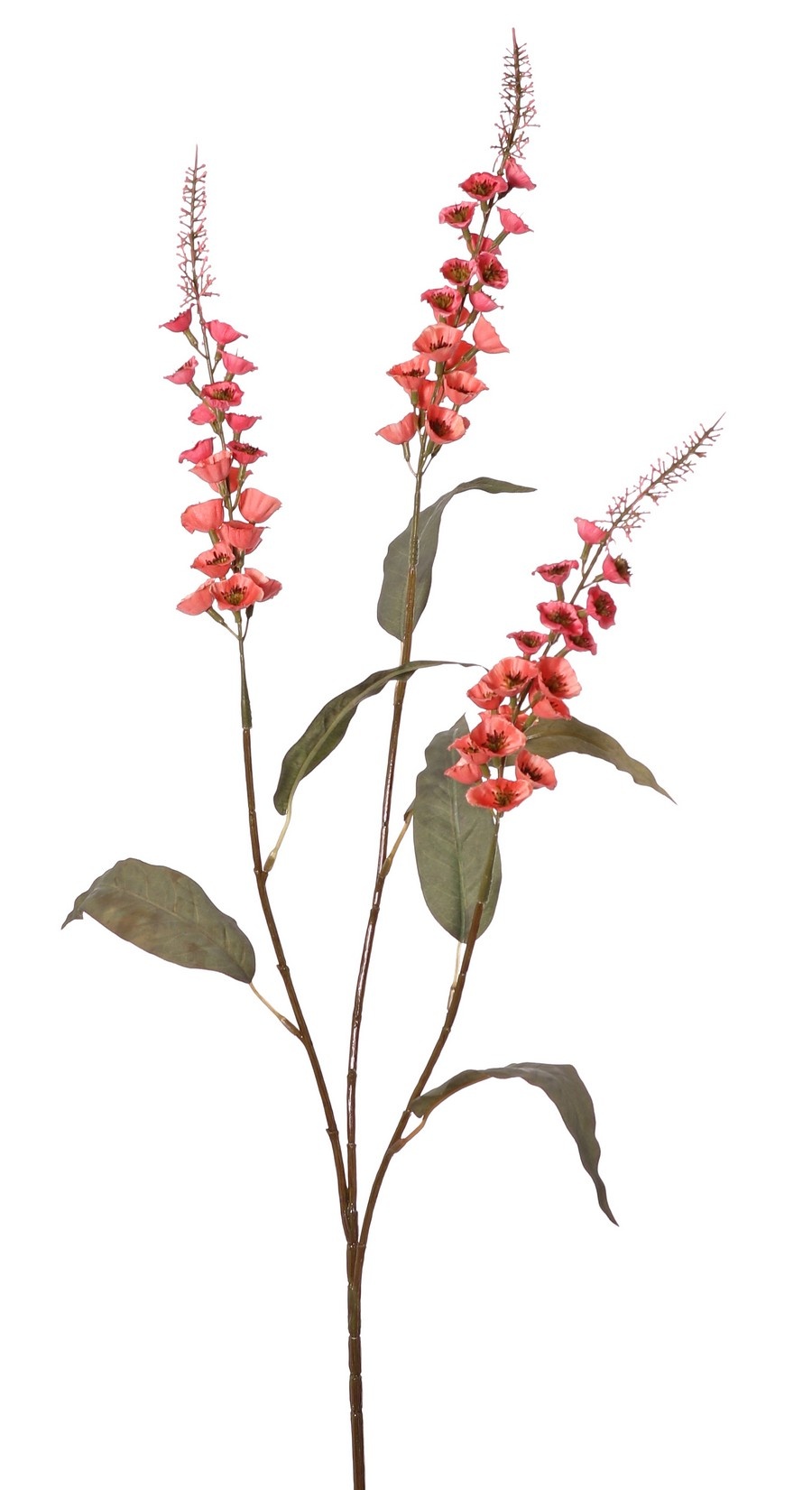 Verbascum 'Fantasy' 3x vertakt met 3 bloementoortsen (22 cm) & 6 bladeren, 100 cm