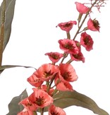 Verbascum 'Fantasy' 3x vertakt met 3 bloementoortsen (22 cm) & 6 bladeren, 100 cm