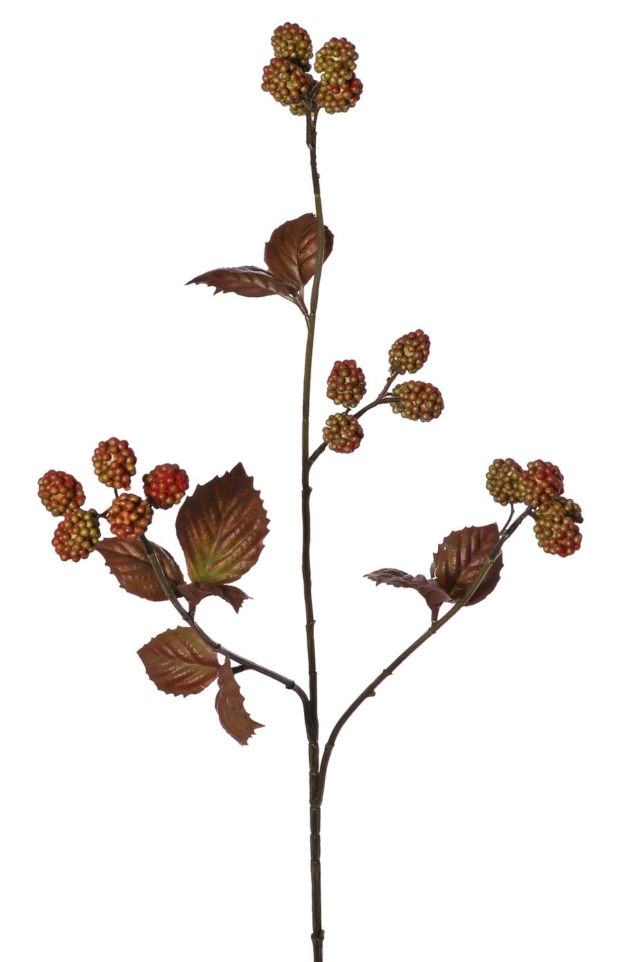 Brombeer-Zweig 'Warm Fall', 3-fach verzweigt, mit 20 Brombeeren und 10 Kunststoffblättern