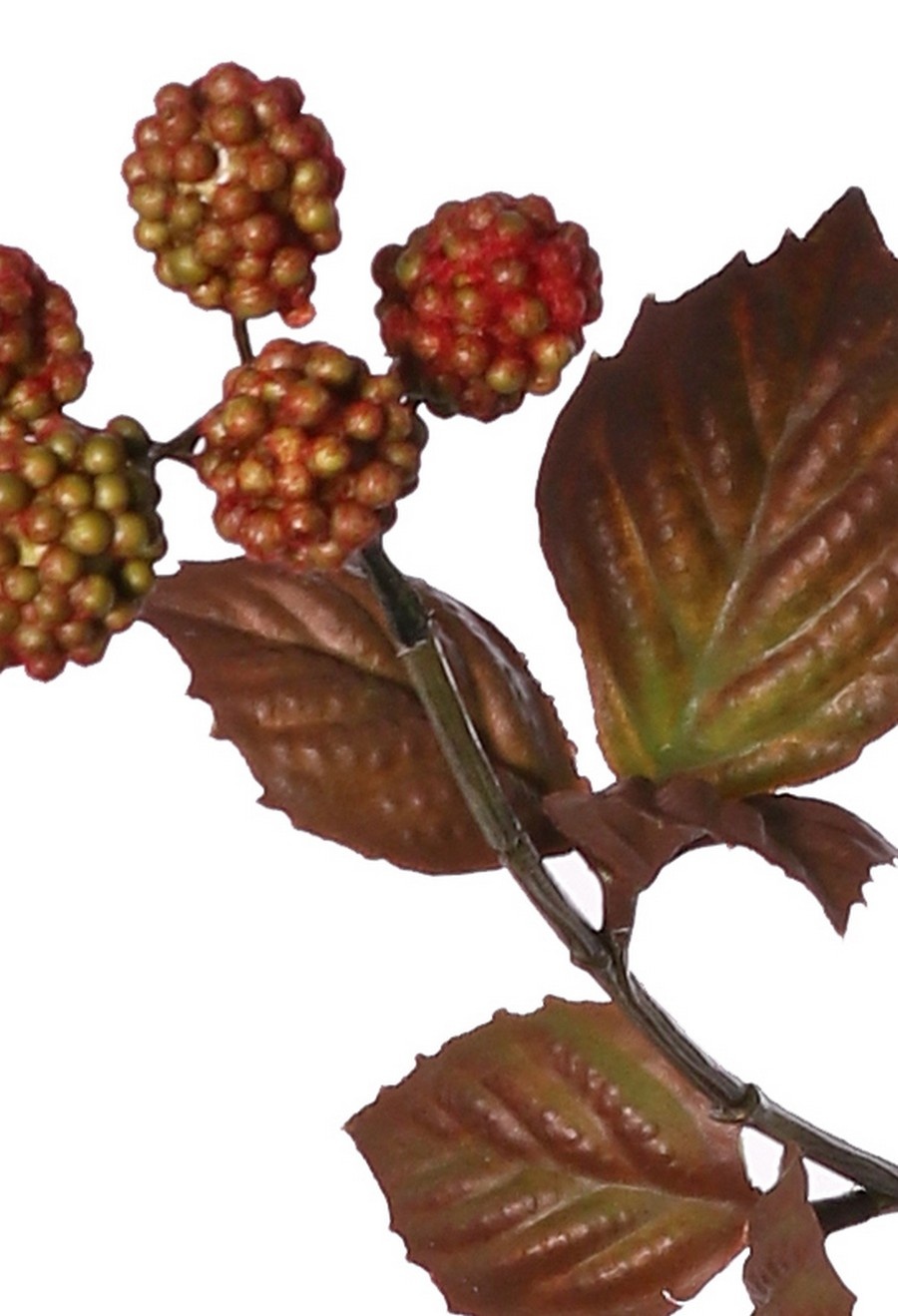 Brombeer-Zweig 'Warm Fall', 3-fach verzweigt, mit 20 Brombeeren und 10 Kunststoffblättern