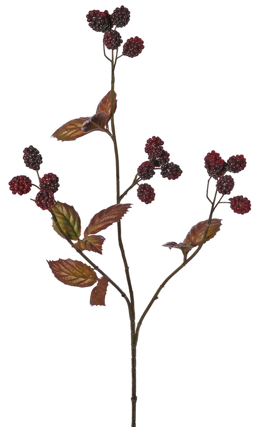 Bramentak 'Warm Fall' 3x vertakt met 20 bramen & 10 plastic bladeren