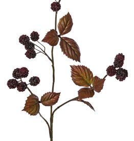Bramentak 'Warm Fall' 3x vertakt met 20 bramen & 10 plastic bladeren