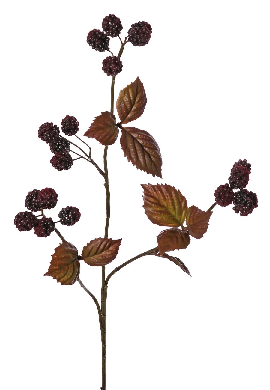 Rama de zarzamora 'Warm Fall', de tres ramas, con 20 zarzamoras y 10 hojas de plástico.