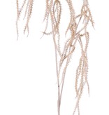 Hängender Amarant, zweifach verzweigt mit 37 Blütenähren, weiß getuencht (white washed), 127 cm