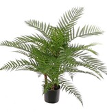Alsophila dealbata (tree fern) with 3 wooden trunks & 36 plastic fronds, 70 cm