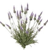 Lavendelplant (Lavandula) met 28 bloemen & 152 bladeren, 56 cm, BY MK! UV bestendig